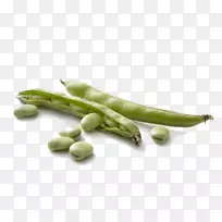 蚕豆豆荚蔬菜种子蔬菜