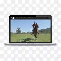 Mataró马广告视频图形设计-马匹