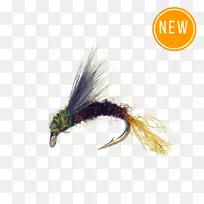 黄花蛇蝇钓鱼人工蝇虫若虫-昆虫
