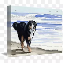 犬种伯恩塞山犬画廊包装艺术-伯恩塞山犬