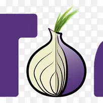 Tor浏览器.洋葱路由网络浏览器-洋葱