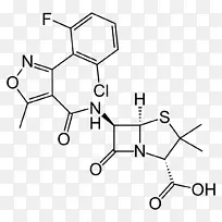 氟氯西林青霉素氨苄西林药物抗生素