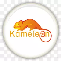 变色龙标志动物字体-Kameleon