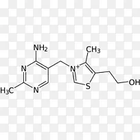 盐酸硫胺素缺乏症膳食补充剂b维生素b6