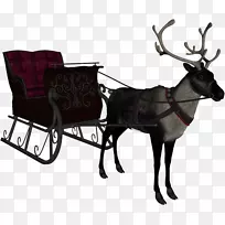 驯鹿圣诞老人雪橇封装的附言-驯鹿