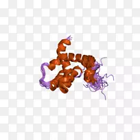 生物字体融合蛋白