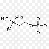 分子胆碱甜菜碱三甲基甘氨酸氨基酸