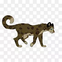猎豹狮子大猫陆生动物猎豹