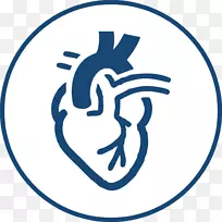 心脏病学，心脏保健，计算机图标，医学.心脏