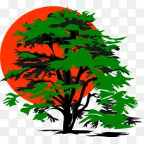 绘图树计算机图标剪贴画树