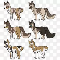 萨鲁士狼犬捷克斯洛伐克狼狗挪威午餐猎犬培育土狼-加德纳狐