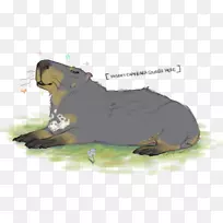 海狸犬科卡通-狗