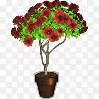 花盆植物