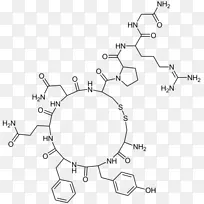 加压素抗利尿分子激素化学-催产素