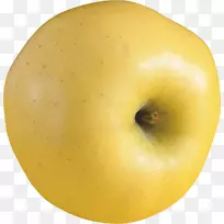 苹果黄色剪贴画-苹果采摘剪贴画