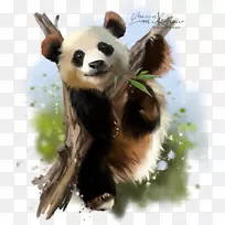 大熊猫纸红熊猫水彩画