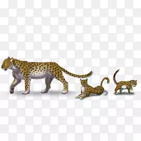 猎豹猫科非洲豹大猫艺术-豹幼崽