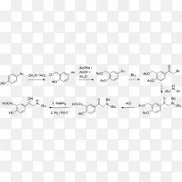 分子apolaire与两亲性甲基取代基
