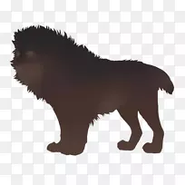 小狗养狮子猫-小狗