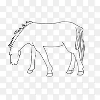 骡子马驹缰绳线艺术-马匹模板