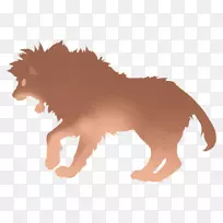 狮子毛马大猫狮