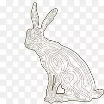 国内野兔线艺术画狗