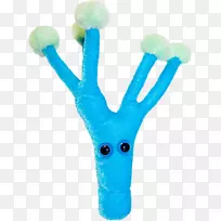 金青霉毛绒动物玩具青霉素微生物玩具