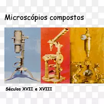 扫描电子显微镜透射电镜黄铜显微镜