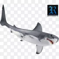 大白鲨鸭嘴兽鱼-大白鲨