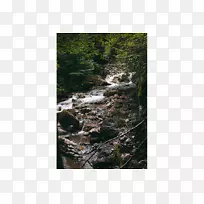 自然保护区水资源瀑布林乔木林