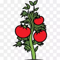 樱桃番茄蔬菜剪贴画-蔬菜