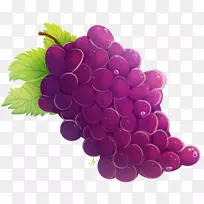 葡萄籽提取物无核水果浆果葡萄
