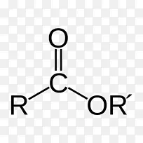 羧酸官能团化学乙酸脂肪酸酯