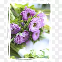 花型设计紫色切花花束-紫色