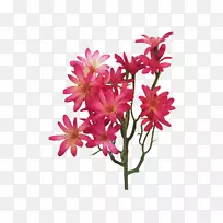 切花设计粉红m植物茎设计