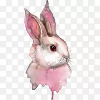 水彩画兔画