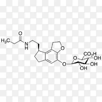 不对称二甲基精氨酸氨基酸结构-乙基葡萄糖醛酸酯