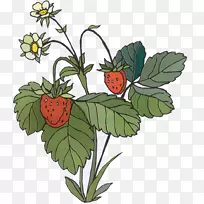 草莓水果沙拉华夫饼奥格里斯剪贴画-草莓
