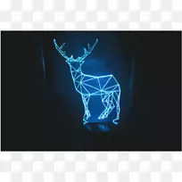 光驯鹿灯光错觉