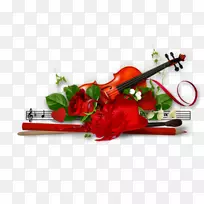 小提琴Shabbat乐器沙洛姆-安装