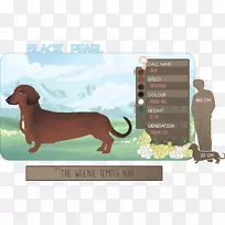 达克斯犬繁殖卡通犬-旁观者