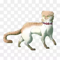 大猫陆生动物尾巴野生动物-猫