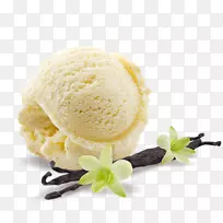 巧克力冰淇淋锥奶昔香草新鲜纯植物