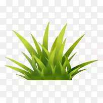 草网络媒体类型-草