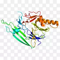 未折叠蛋白反应蛋白激酶蛋白结构-结构