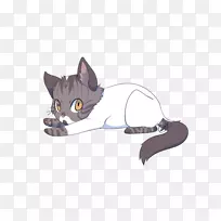胡须小猫爪猫