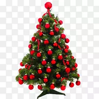 圣诞树，松树，圣诞装饰，冷杉-圣诞树
