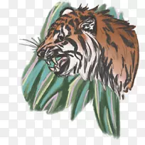 老虎咆哮大猫陆生动物-丛林之王