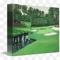 人造草坪高尔夫球场景观水上高尔夫