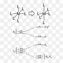 Jahn-teller效应晶体场理论铜配合物d-轨道过渡金属卡宾配合物